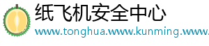 纸飞机安全中心